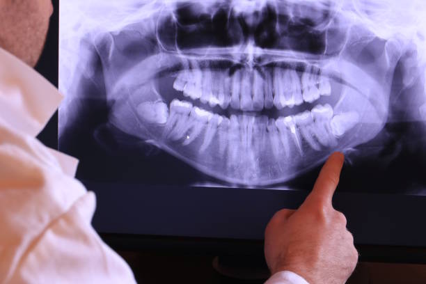 Best Emergency X-Rays and Diagnostics in Elmwood Park, NJ