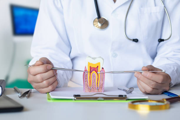 Best Emergency Dental Care for Sports Injuries in Elmwood Park, NJ